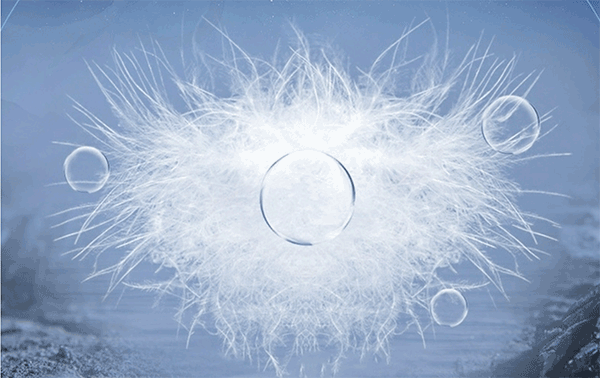 鹅绒被排行榜前十名